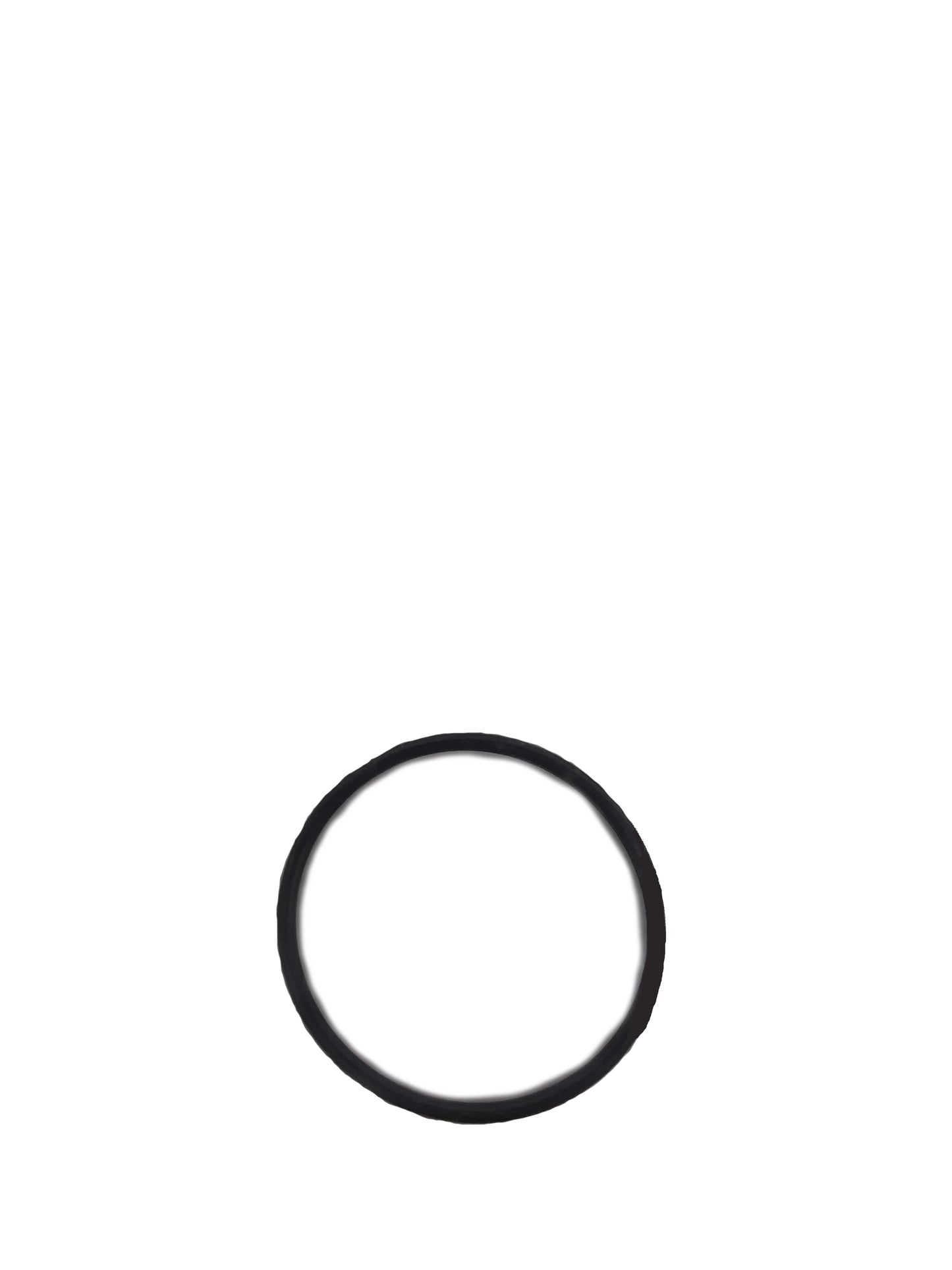 O-Ring for Pump, 1-15/16" I.D., 15163, 1306183