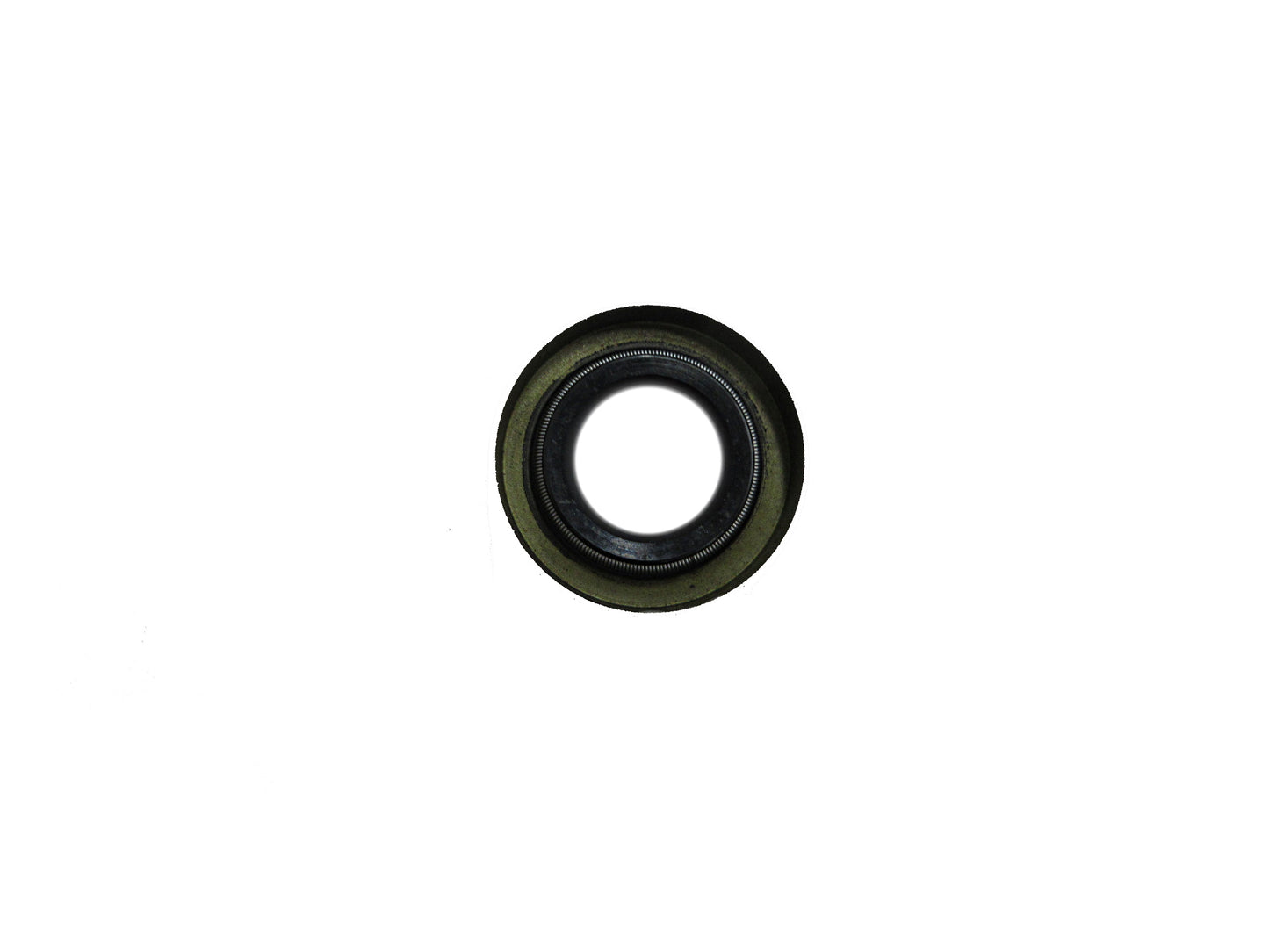 Pump Shaft Seal E-47, 15581, 1306185
