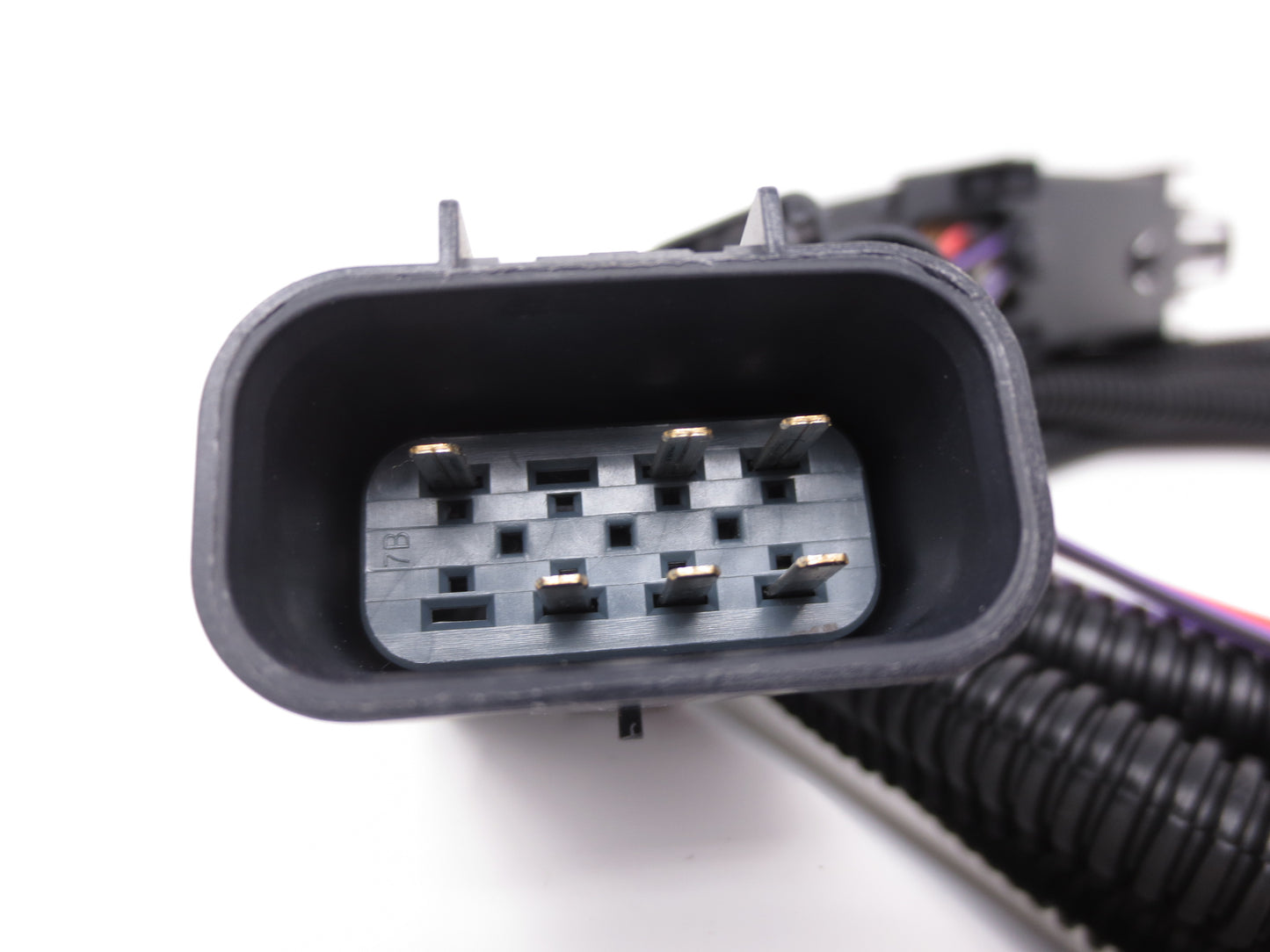 Main Relay Harness Buyers - 16160102