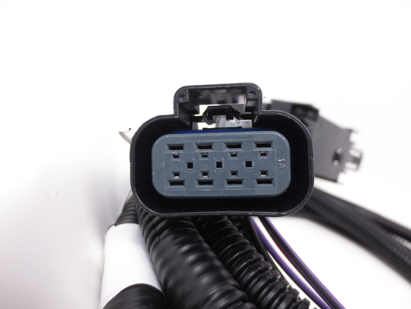 Main Relay Harness Buyers - 16160102