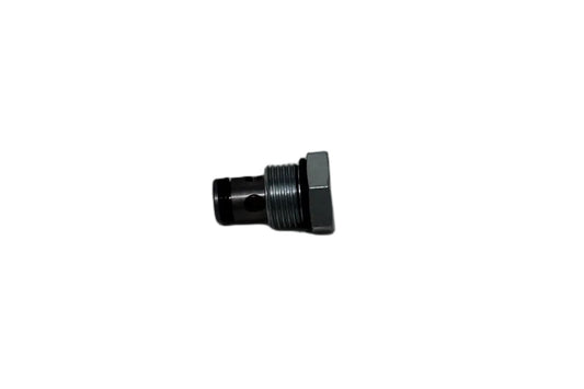 Check Valve - 25010746