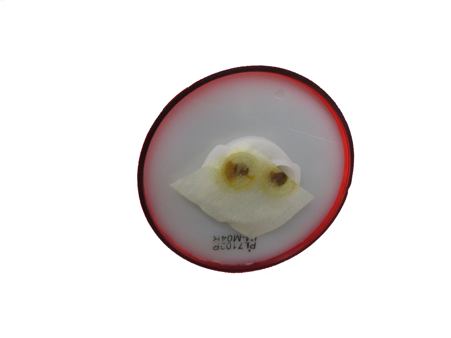 Red Round Bee Hive Light - 1M-M04R