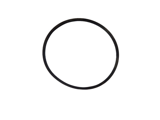 O-Ring 25012168