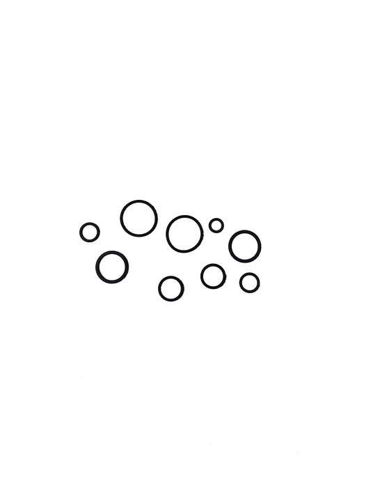 O-Ring Kit for older plows 25010477