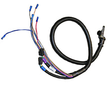 Load image into Gallery viewer, 6 Function External Wiring Harness Plow Side 38813098