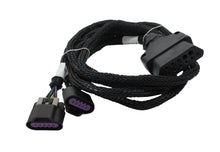 Load image into Gallery viewer, SnowDogg/Buyers Plow Light Harness 16160200