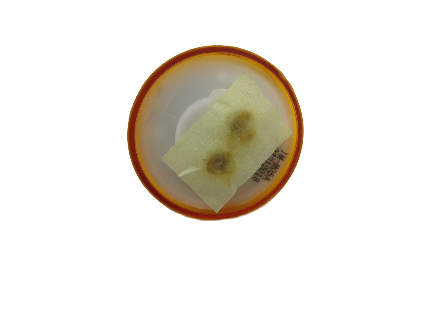 Amber Round Cone Shaped Trailer Light - 1M-M05A