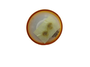 Amber Round Bee Hive Trailer Light - 1M-M05A